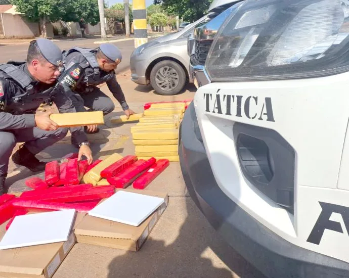 Polícia desmantela esquema de tráfico interestadual e apreende maconha