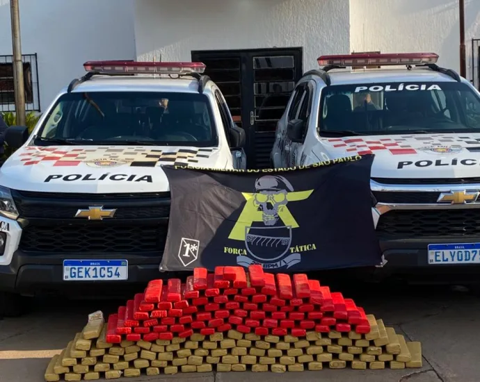 Tráfico de drogas em Castilho SP: Força Tática apreende 165 tabletes de maconha em operação nesta quinta-feira (31)