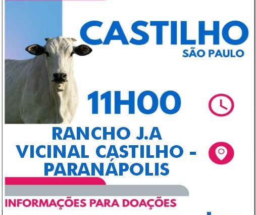 Leilão beneficente em castilho destina renda ao hospital de amor