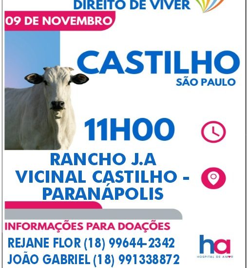 Leilão beneficente em castilho destina renda ao hospital de amor