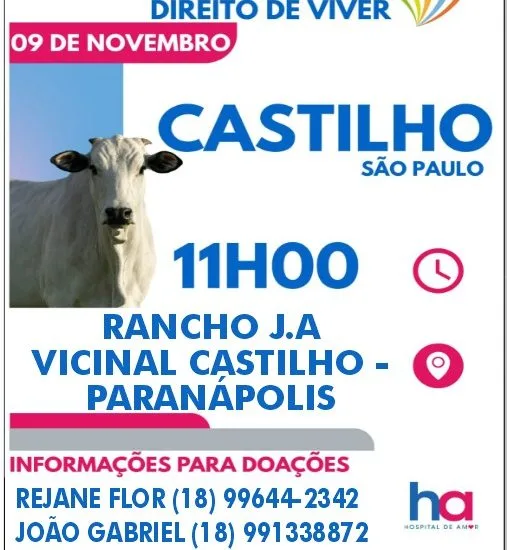 Leilão beneficente em castilho destina renda ao hospital de amor