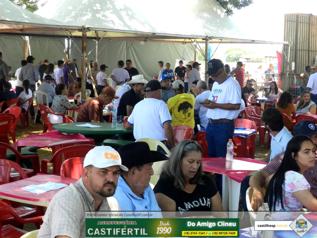 Leilão em Castilho SP: 3º Edição Bate Recorde de Solidariedade e Arrecadação para o Hospital do Amor
