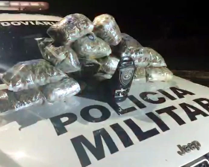 Mulher é presa com skunk em ônibus na rodovia marechal rondon