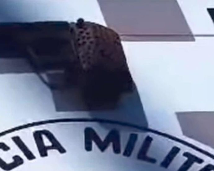 Homem detido com arma e televisor levanta suspeitas em castilho Homem detido com arma e televisor levanta suspeitas em castilho