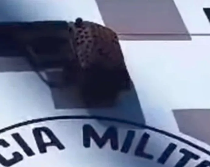 Homem detido com arma e televisor levanta suspeitas em castilho
