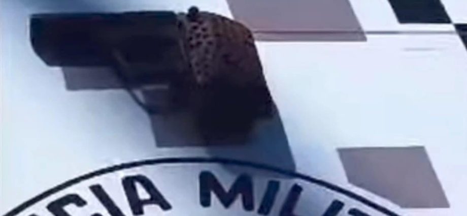 Homem detido com arma e televisor levanta suspeitas em castilho