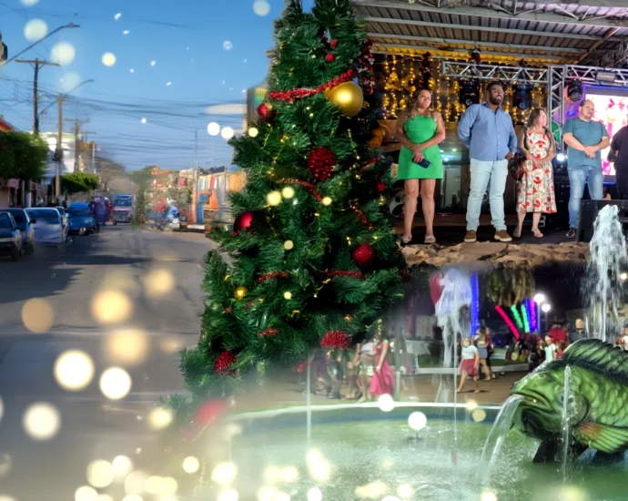 NATAL ACOLHEDOR DE CASTILHO SP 2025: 5ª EDIÇÃO ENCANTA MORADORES COM ACENDIMENTO DAS LUZES NATAL ACOLHEDOR DE CASTILHO SP 2025: 5ª EDIÇÃO ENCANTA MORADORES COM ACENDIMENTO DAS LUZES