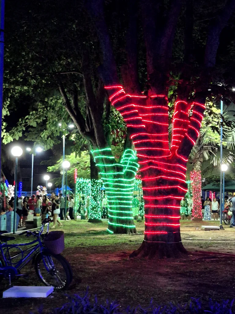 NATAL ACOLHEDOR DE CASTILHO SP 2025: 5ª EDIÇÃO ENCANTA MORADORES COM ACENDIMENTO DAS LUZES