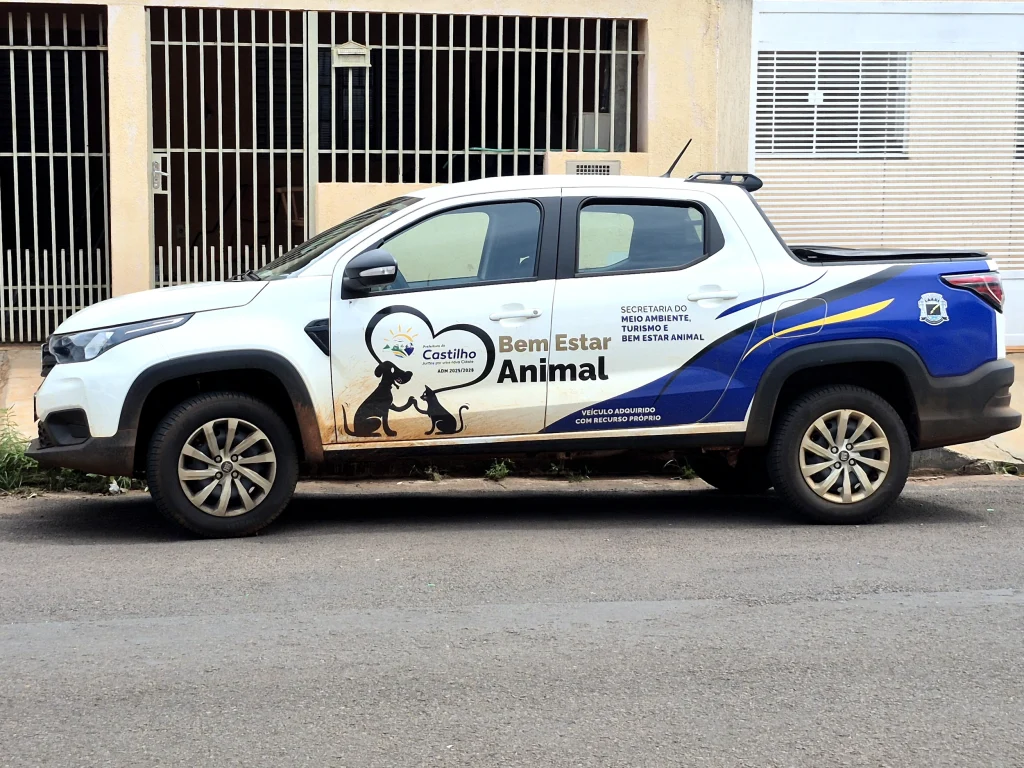 Adoção de Animais em Castilho: 10 Cães Esperam por Lares Amorosos na Campanha Dezembro Verde 2025