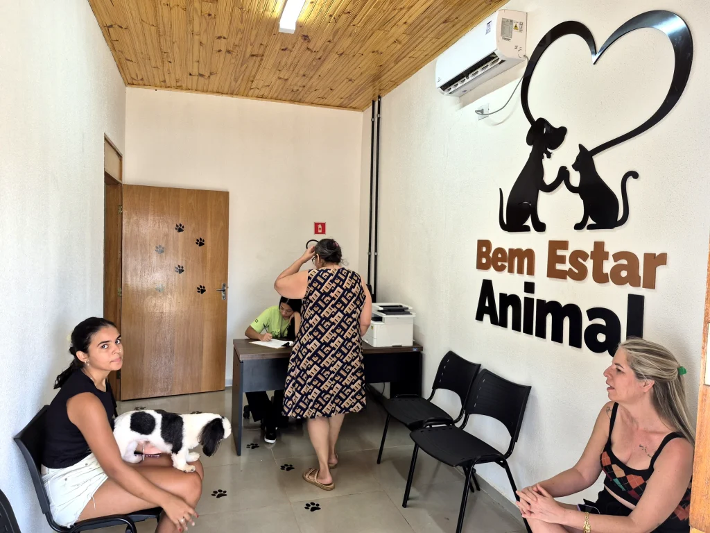 Adoção de Animais em Castilho: 10 Cães Esperam por Lares Amorosos na Campanha Dezembro Verde 2025