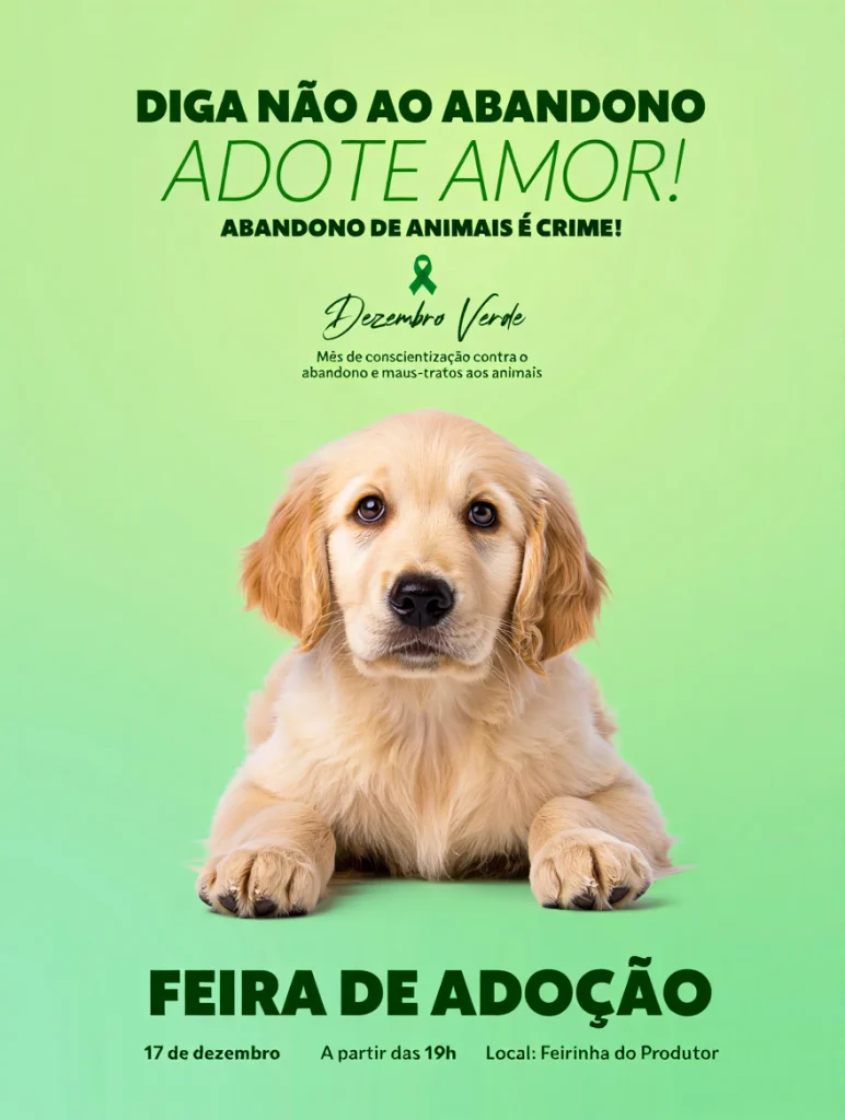 Adoção de Animais em Castilho: 10 Cães Esperam por Lares Amorosos na Campanha Dezembro Verde 2025