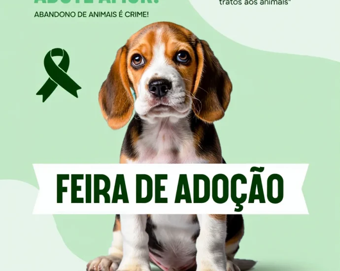 Adoção de Animais em Castilho: 10 Cães Esperam por Lares Amorosos na Campanha Dezembro Verde 2025