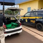 AÇÃO DA PRF NO COMBATE AO CRIME ORGANIZADO