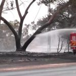 CALOR NA AUSTRÁLIA: IMPACTOS DOS INCÊNDIOS FLORESTAIS