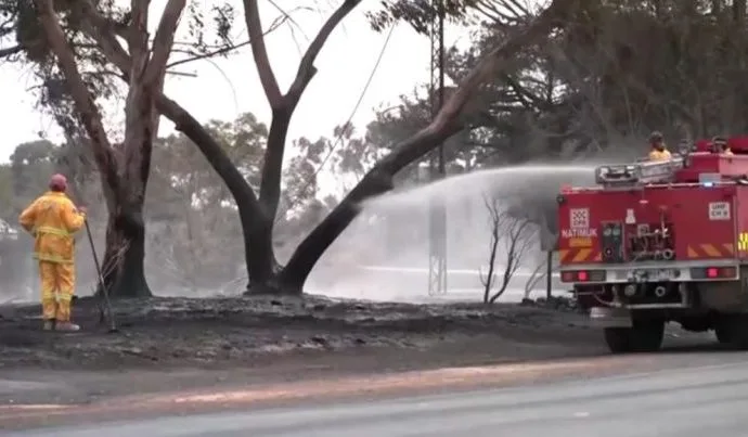 CALOR NA AUSTRÁLIA: IMPACTOS DOS INCÊNDIOS FLORESTAIS