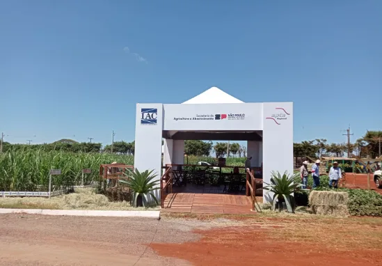 MANDIOCA: INOVAÇÃO E SUSTENTABILIDADE NA COOPERSHOW 2026