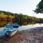 DESMATAMENTO: ÁREAS PROTEGIDAS REDUZEM IMPACTO EM 2025