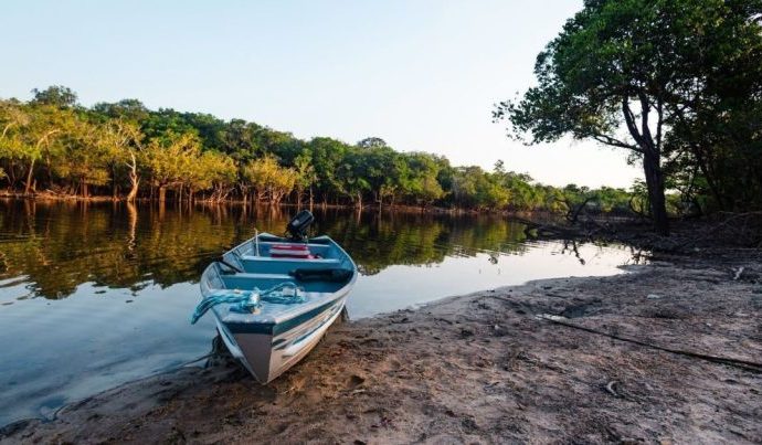 DESMATAMENTO: ÁREAS PROTEGIDAS REDUZEM IMPACTO EM 2025 DESMATAMENTO: ÁREAS PROTEGIDAS REDUZEM IMPACTO EM 2025