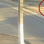 ASSASSINATO DE COORDENADOR DO CRB: MANDANTE SE ENTREGA