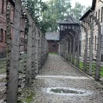 GENOCÍDIO: O PAPA CLAMA POR PAZ E JUSTIÇA