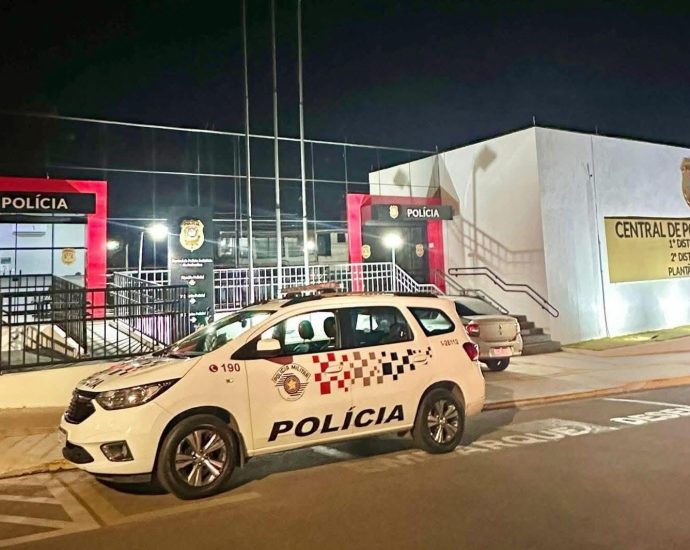 FURTO E ESTELIONATO: HOMEM PRESO EM ANDRADINA (SP) FURTO E ESTELIONATO: HOMEM PRESO EM ANDRADINA (SP)