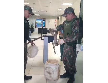 RESGATE DE ANIMAIS SILVESTRES: AÇÕES DA POLÍCIA AMBIENTAL RESGATE DE ANIMAIS SILVESTRES: AÇÕES DA POLÍCIA AMBIENTAL