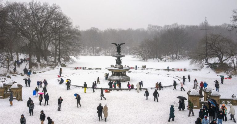 NEVASCA EM NOVA YORK: IMPACTOS E CONSEQUÊNCIAS