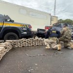 APREENSÃO DE SKUNK: 213 KG EM CAMINHÃO NA BR-135