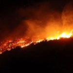 Governo Federal Avalia Seguro Rural Regional para Fortalecer Cobertura Agrícola