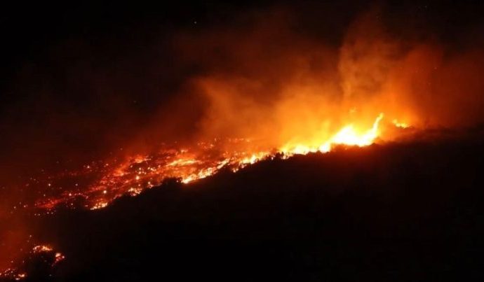 Governo Federal Avalia Seguro Rural Regional para Fortalecer Cobertura Agrícola