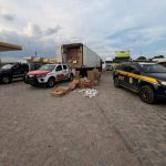 Polícia Rodoviária Federal e Receita Federal Apreendem 12 Milhões de Cigarros Contrabandeados