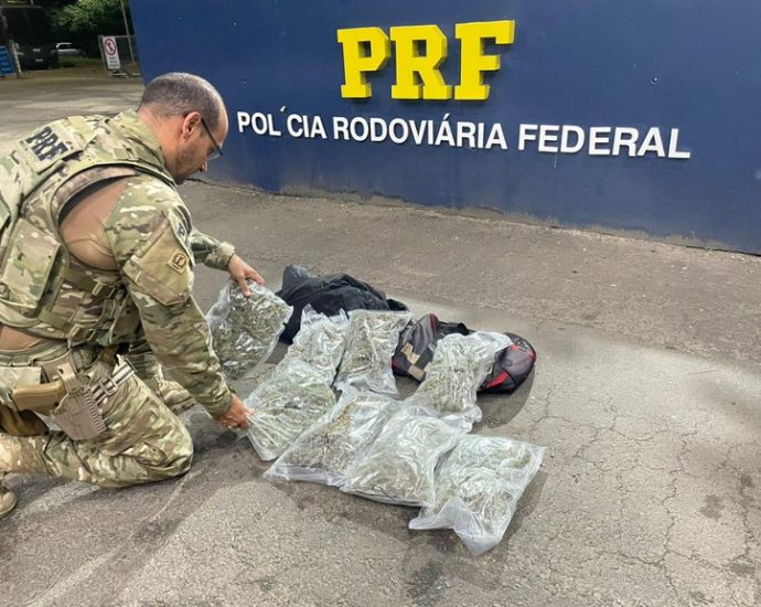 COMBATE AO NARCOTRÁFICO: AÇÕES DA PRF NO PAÍS COMBATE AO NARCOTRÁFICO: AÇÕES DA PRF NO PAÍS