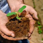 FGO: Uma Solução para o Crédito Rural em Tempos de Inadimplência