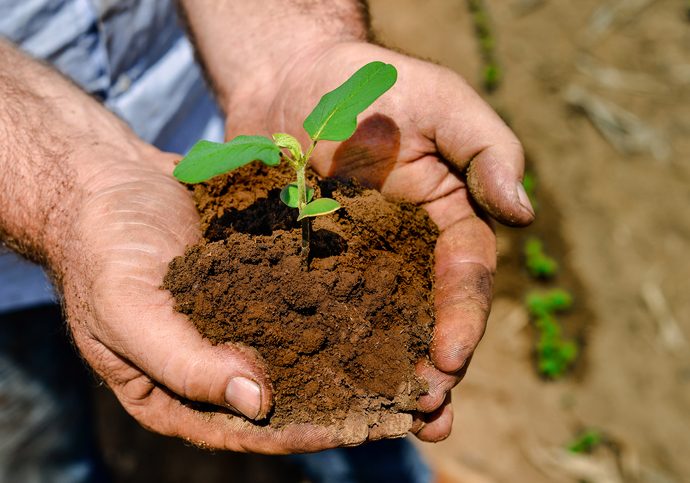 FGO: Uma Solução para o Crédito Rural em Tempos de Inadimplência