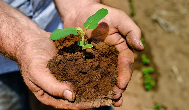 FGO: Uma Solução para o Crédito Rural em Tempos de Inadimplência