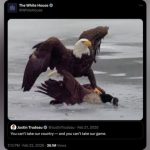 Tensões Entre EUA e Canadá Aumentam Após Vitória no Hockey