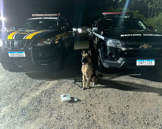 COCAÍNA: PRF E BIESP APREENDEM DROGA EM CARUARU COCAÍNA: PRF E BIESP APREENDEM DROGA EM CARUARU