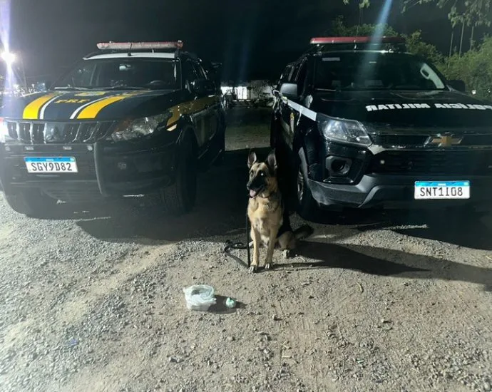 COCAÍNA: PRF E BIESP APREENDEM DROGA EM CARUARU COCAÍNA: PRF E BIESP APREENDEM DROGA EM CARUARU