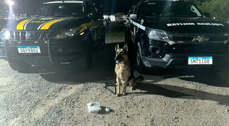 COCAÍNA: PRF E BIESP APREENDEM DROGA EM CARUARU COCAÍNA: PRF E BIESP APREENDEM DROGA EM CARUARU