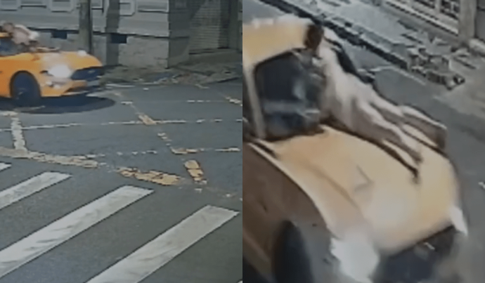 ACIDENTE DE TRÂNSITO: HOMEM É PRESO APÓS ATROPELAR EX ACIDENTE DE TRÂNSITO: HOMEM É PRESO APÓS ATROPELAR EX