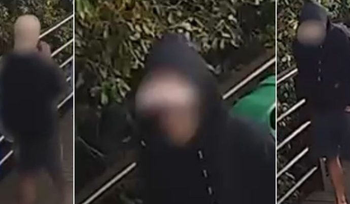 CÃO ORELHA: POLÍCIA PEDE APREENSÃO DE PASSAPORTE DO SUSPEITO