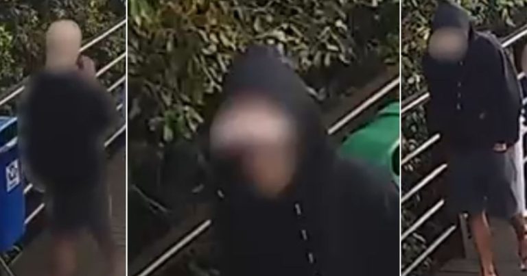 CÃO ORELHA: POLÍCIA PEDE APREENSÃO DE PASSAPORTE DO SUSPEITO CÃO ORELHA: POLÍCIA PEDE APREENSÃO DE PASSAPORTE DO SUSPEITO