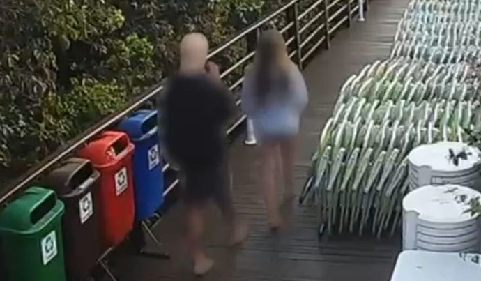 CÃO ORELHA: INVESTIGAÇÃO REVELA DETALHES CHOCANTES CÃO ORELHA: INVESTIGAÇÃO REVELA DETALHES CHOCANTES