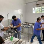 CASTRAÇÃO FELINA: 3,5 MIL PROCEDIMENTOS EM CASTILHO