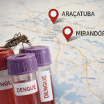 DENGUE: ARAÇATUBA INVESTIGA ÓBITO SUSPEITO EM 2026 DENGUE: ARAÇATUBA INVESTIGA ÓBITO SUSPEITO EM 2026