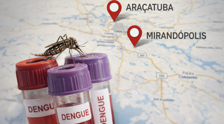 DENGUE: ARAÇATUBA INVESTIGA ÓBITO SUSPEITO EM 2026 DENGUE: ARAÇATUBA INVESTIGA ÓBITO SUSPEITO EM 2026