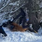 AGRESSÃO EM ESTAÇÃO DE ESQUI: BRASILEIRO RELATA CASO AGRESSÃO EM ESTAÇÃO DE ESQUI: BRASILEIRO RELATA CASO