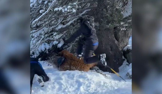 AGRESSÃO EM ESTAÇÃO DE ESQUI: BRASILEIRO RELATA CASO