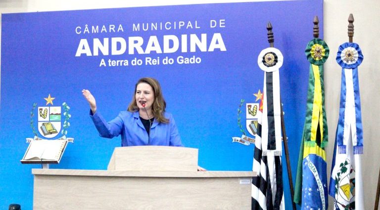 ATENDIMENTO NAS UBS: DESAFIOS E SOLUÇÕES PARA A POPULAÇÃO ATENDIMENTO NAS UBS: DESAFIOS E SOLUÇÕES PARA A POPULAÇÃO