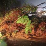 Rodovias Interditadas e Alagamentos no Litoral Norte de São Paulo